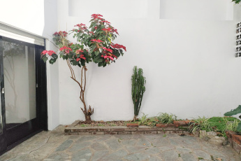 A. Juan B. Justo 8159, Villa Luro, ,Casa,Venta,1179